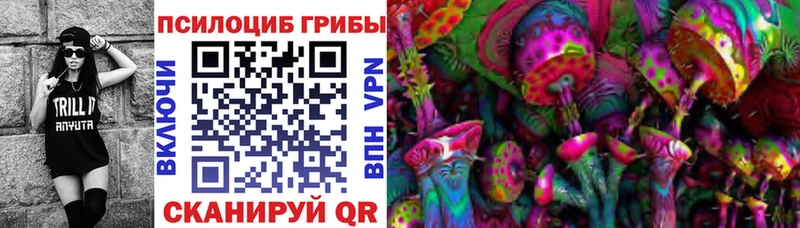 Псилоцибиновые грибы Psilocybine cubensis  ОМГ ОМГ ссылки  Горняк 